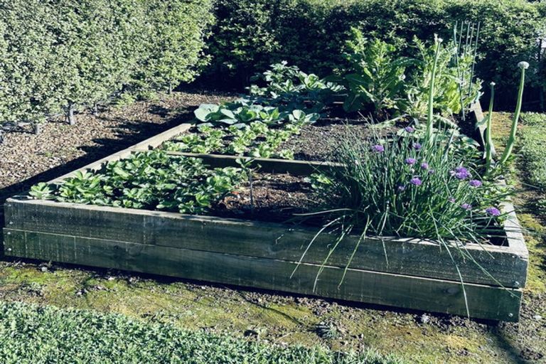 Photo of property in 101a Logan Road, Pukekawa, Tuakau, 2696