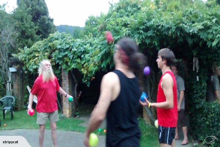 Photo of property in Jugglers Rest Backpackers, 8 Canterbury Street, Picton, 7220