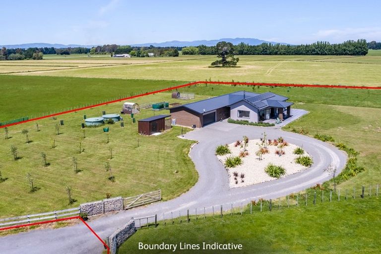 Photo of property in 33 Spencer Lane, Greytown, 5712