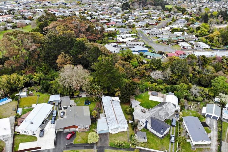 Photo of property in 37 Fitzroy Avenue, Fitzroy, Hamilton, 3206