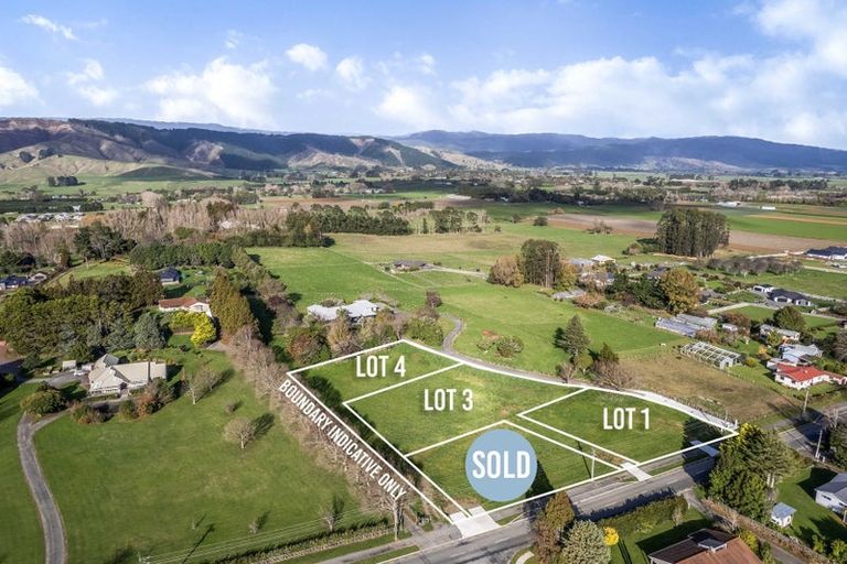 Photo of property in 48 Fairfield Road, Levin, 5510