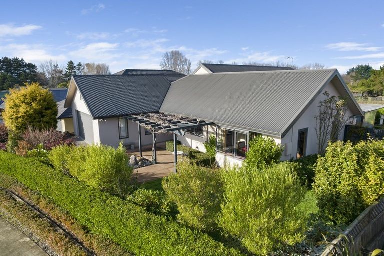 Photo of property in 24 Ursula Drive, Feilding, 4702