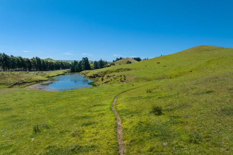 Photo of property in 363 Caseys Road, Lake Grassmere, Seddon, 7285