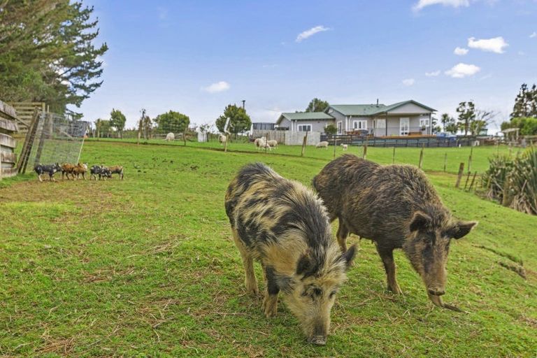 Photo of property in 472 Wilton Collieries Road, Glen Massey, Ngaruawahia, 3794