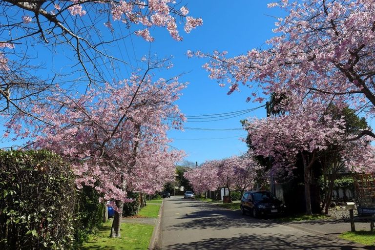 Photo of property in 1a Karaka Grove, Waikanae, 5036