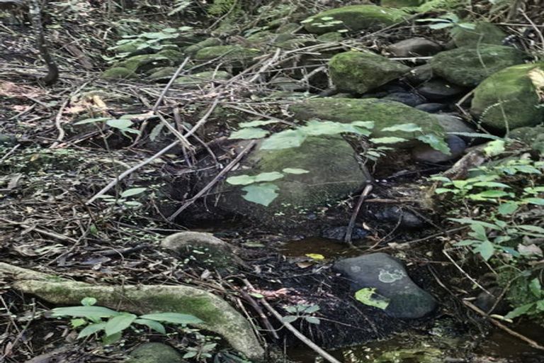 Photo of property in 326 Sainsbury Road, Pirongia, 3876