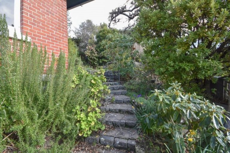 Photo of property in 14 Easther Crescent, Kew, Dunedin, 9012