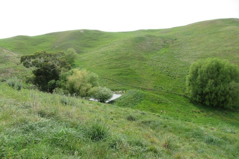 Photo of property in 263 Pourerere Road, Waipawa, 4271