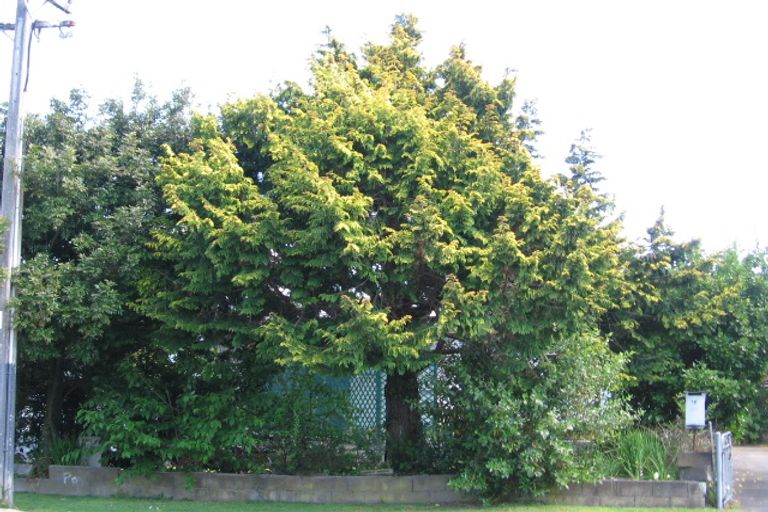 Photo of property in 16 Brookland Road, Western Heights, Rotorua, 3015