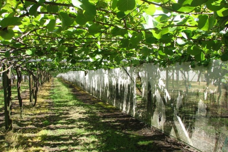 Photo of property in 1082 Te Matai Road, Te Ranga, Te Puke, 3188