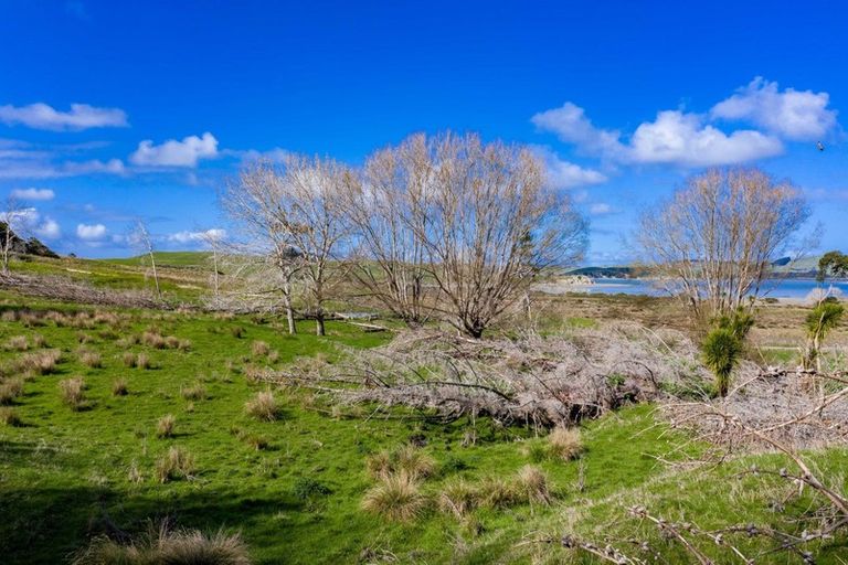 Photo of property in 16 Otara Road, Kaiwaka, 0573