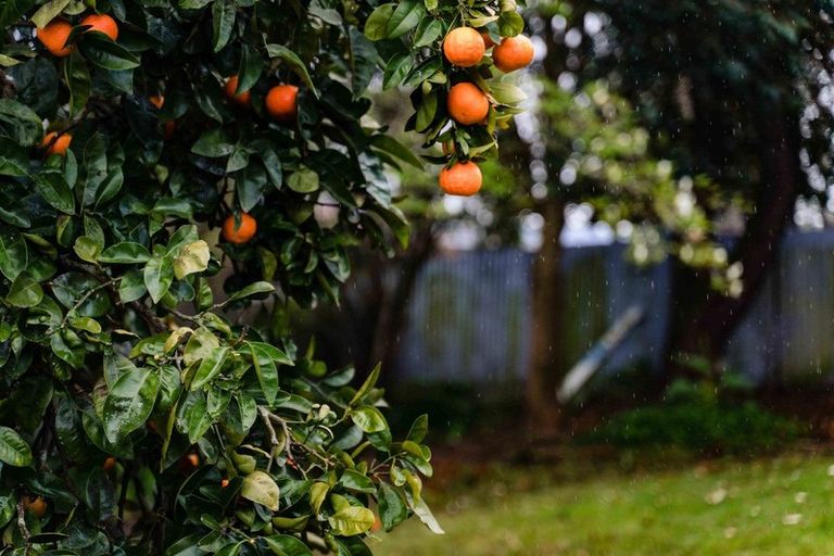 Photo of property in 70c Maich Road, Manurewa, Auckland, 2102