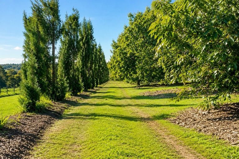 Photo of property in 526d Belk Road, Omanawa, Tauranga, 3171