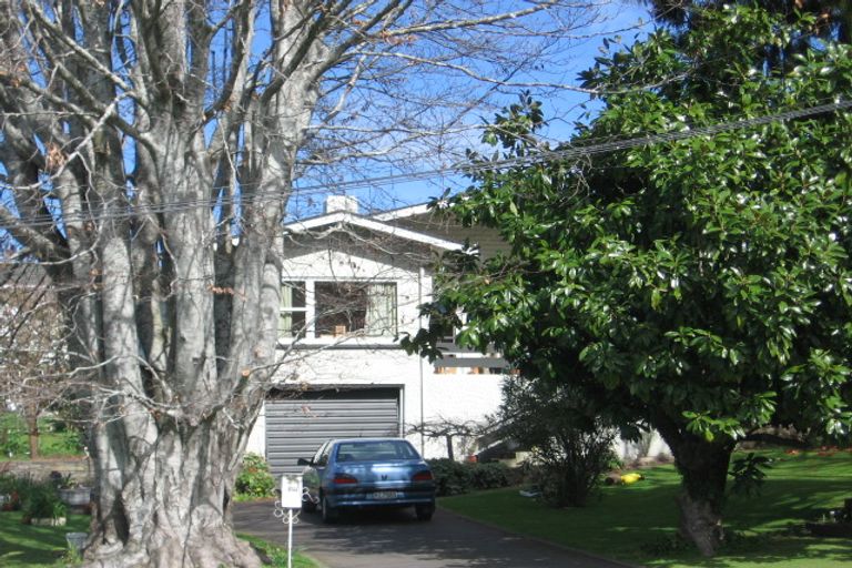 Photo of property in 200 Thirteenth Avenue, Tauranga South, Tauranga, 3112