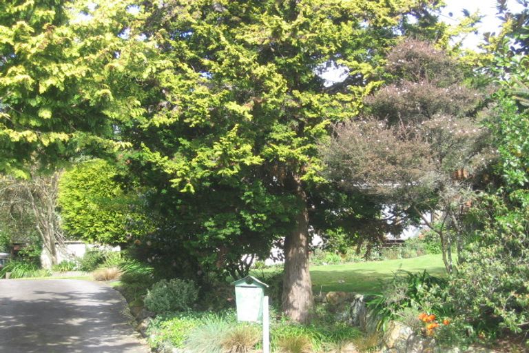 Photo of property in 46 Jervis Street, Hillcrest, Rotorua, 3015