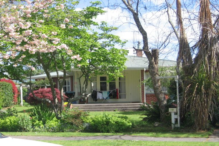 Photo of property in 12 Jellicoe Road, Matamata, 3400