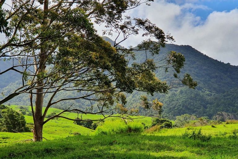 Photo of property in 225 Taita Road, Waimamaku, Kaikohe, 0473