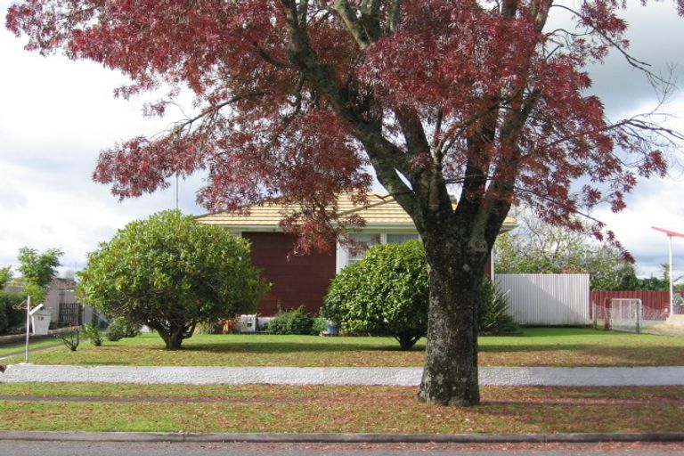 Photo of property in 19 Arthur Street, Tokoroa, 3420