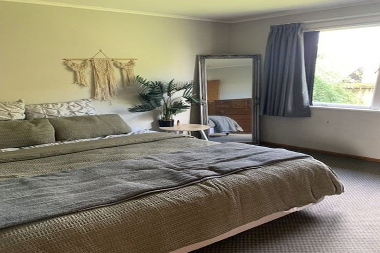 Photo of property in 6 Larnach Street, St Andrews, Hamilton, 3200