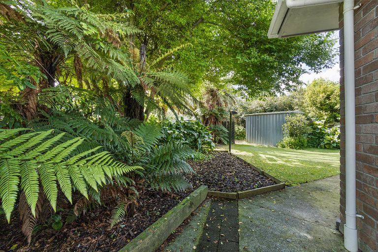Photo of property in 14 Wrigley Place, Matamata, 3400