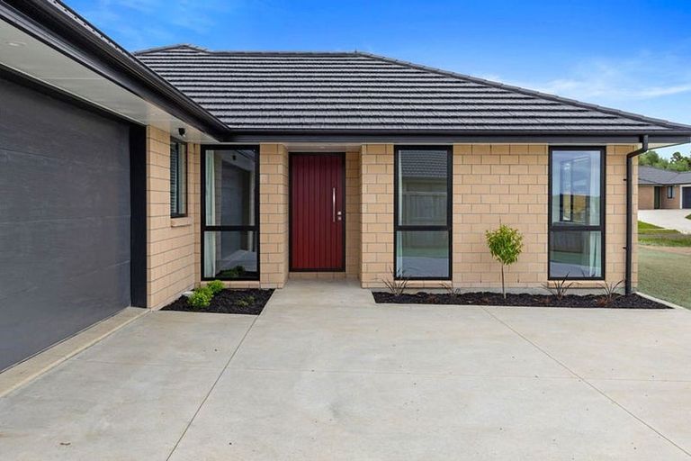 Photo of property in 40 Murray Ward Drive, Te Kauwhata, 3710