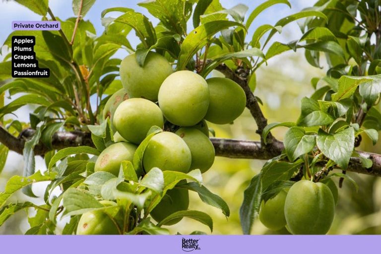 Photo of property in 10 Richmal Street, Waihi, 3610