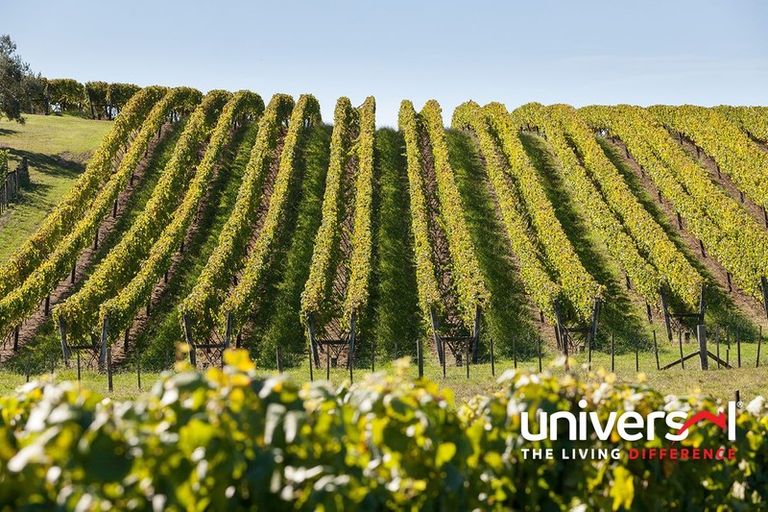 Photo of property in 81 Schoolside Road, Kumeu, 0810