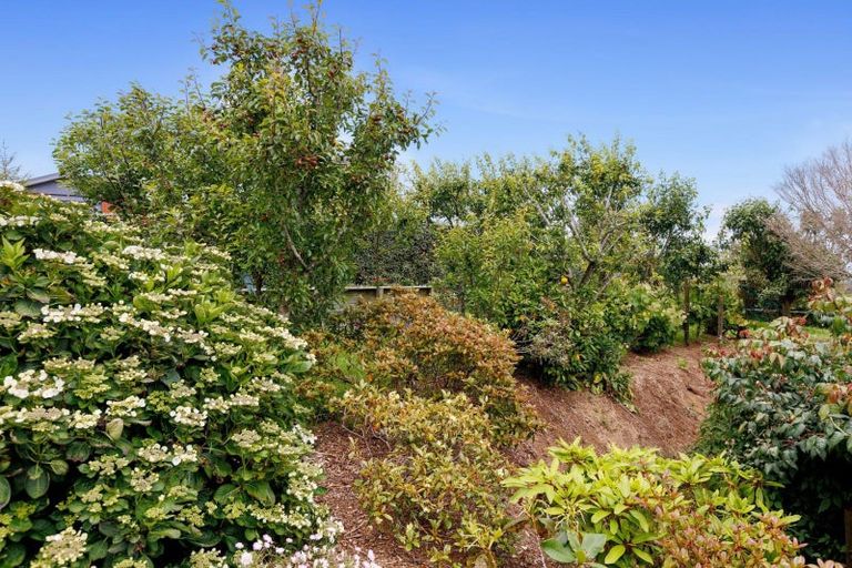 Photo of property in 650 Bristol Road, Kaimata, Inglewood, 4388