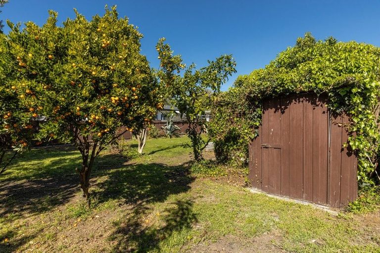 Photo of property in 4 Hammerichs Road, Rapaura, Blenheim, 7272