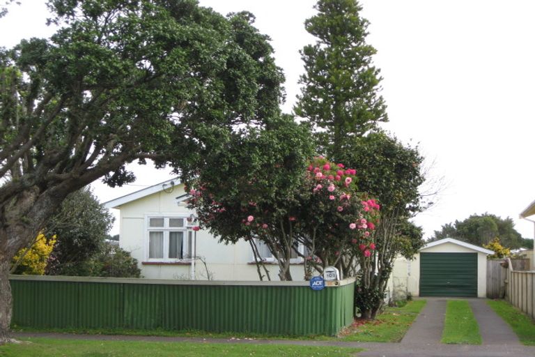 Photo of property in 103 Centennial Avenue, Waitara, 4320