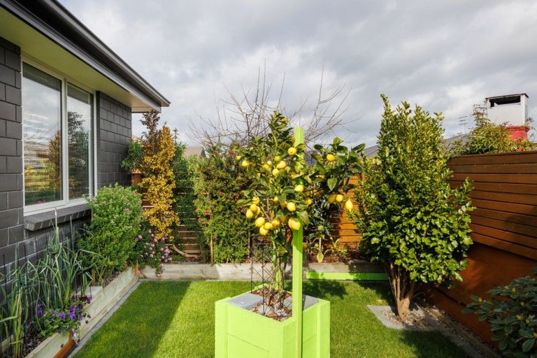 Photo of property in 3 Lancewood Avenue, Feilding, 4702