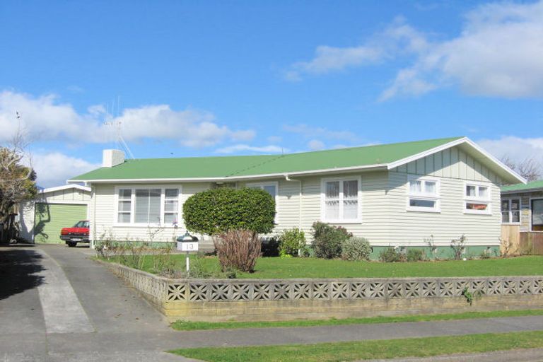 Photo of property in 13 Arran Street, Levin, 5510