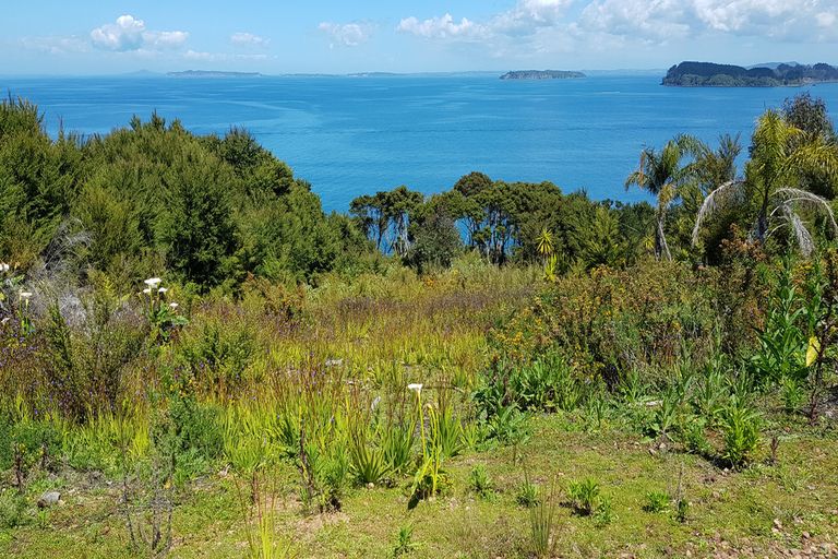 Photo of property in 12 Elizabeth Point Road, Kawau Island, 0920