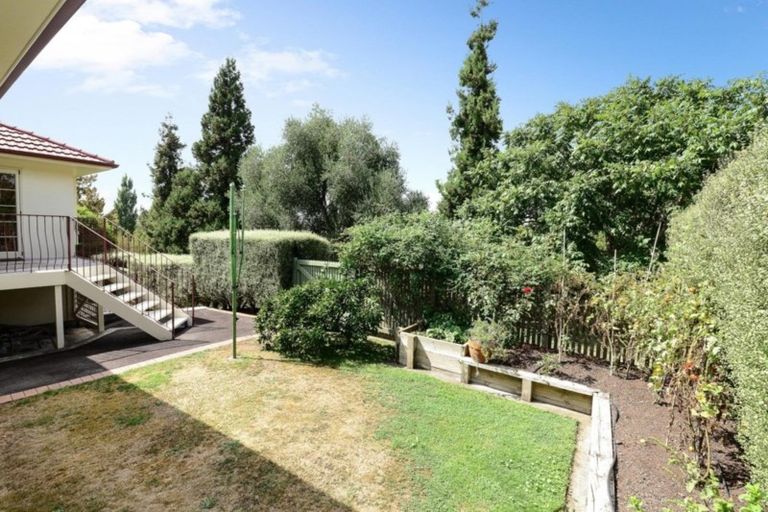 Photo of property in 19 Stella Place, Chartwell, Hamilton, 3210