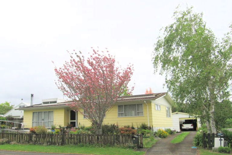 Photo of property in 51 Shaw Avenue, Paeroa, 3600