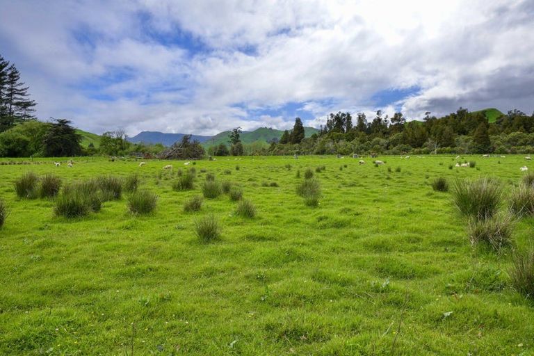 Photo of property in 22 Phillips Road, Motu, Te Karaka, 4092
