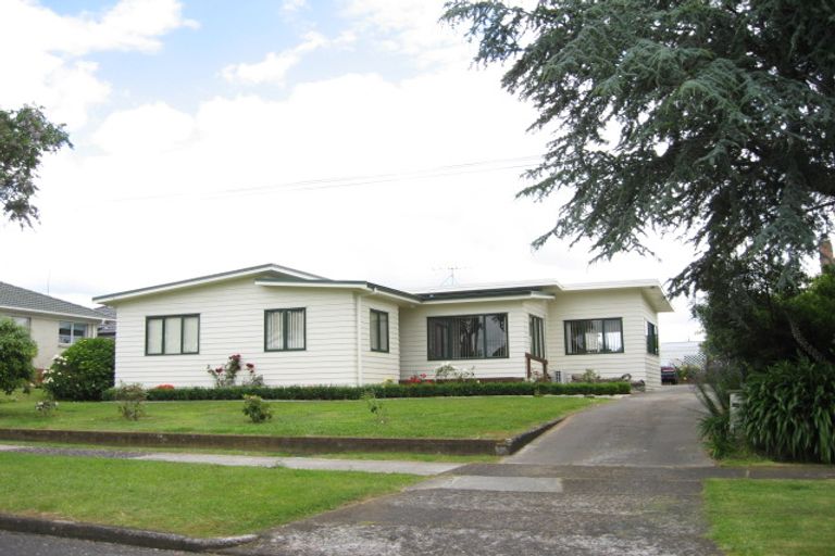 Photo of property in 29 Cooper Street, Pukekohe, 2120