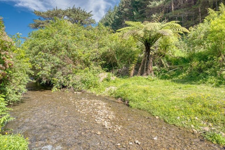 Photo of property in 305 Mangaone Road, Hautere, Otaki, 5582