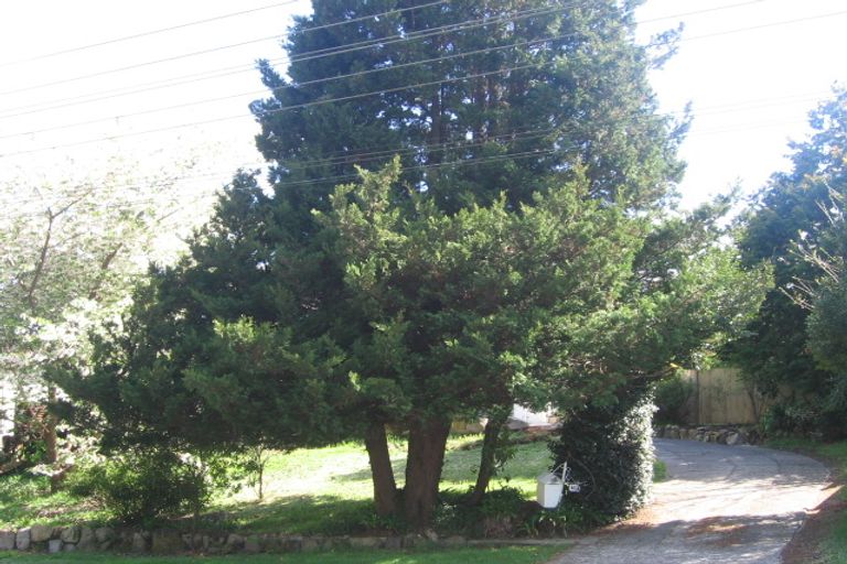 Photo of property in 163 Devon Street, Hillcrest, Rotorua, 3015