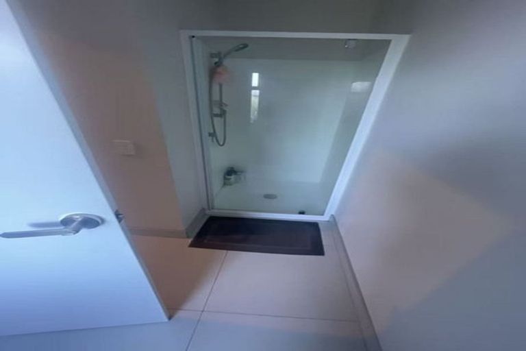 Photo of property in 21 Lemon Tree Lane, Flat Bush, Auckland, 2019