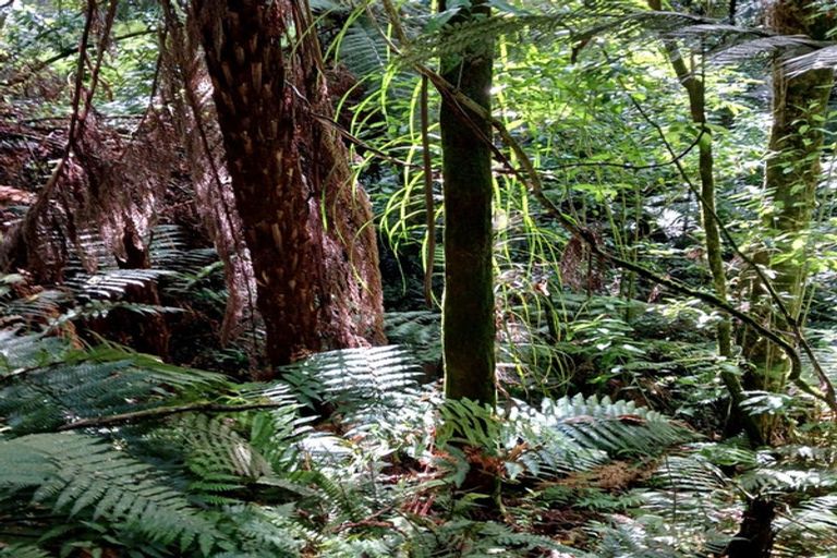 Photo of property in 132 Swetman Road, Waikino, Waihi, 3682