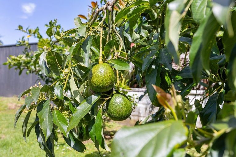 Photo of property in 57 Lorna Street, Lynmouth, New Plymouth, 4310