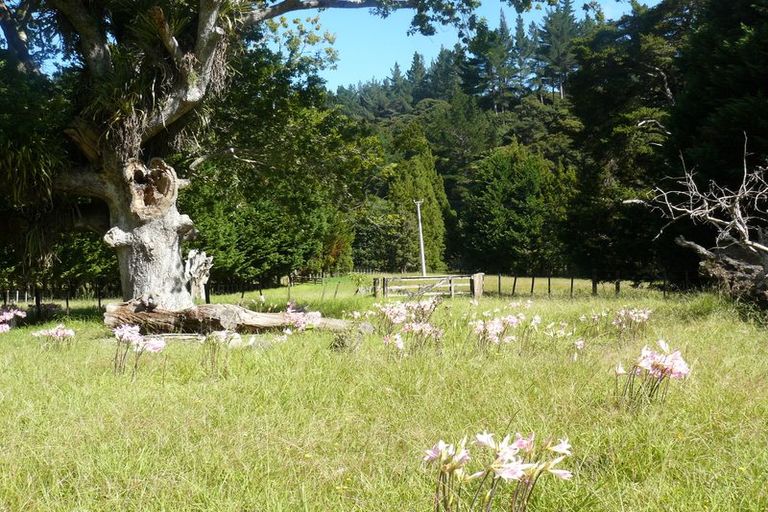 Photo of property in 697 Kohumaru Road, Mangonui, 0494