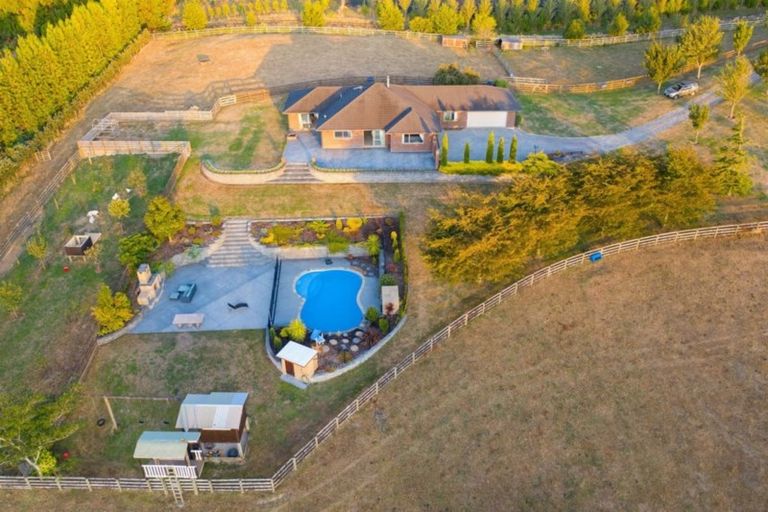 Photo of property in 416a Youngson Road, Whakamarama, Tauranga, 3179