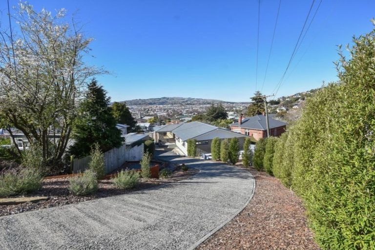 Photo of property in 56 College Street, Caversham, Dunedin, 9012