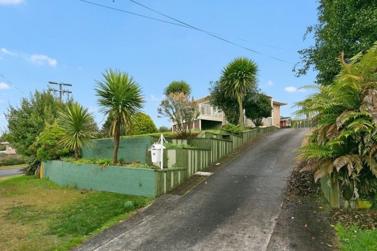 Photo of property in 20 Reservoir Street, Putaruru, 3411