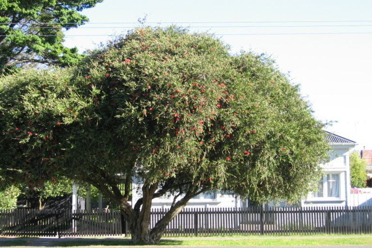 Photo of property in 53 Stafford Street, Whataupoko, Gisborne, 4010