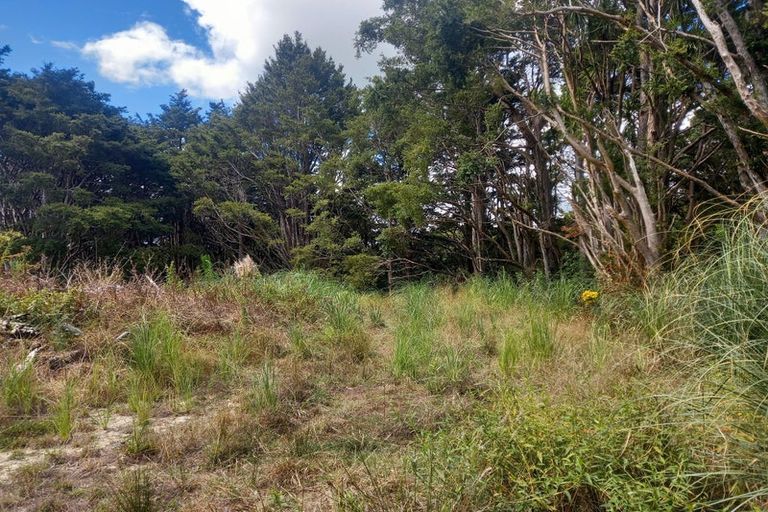 Photo of property in 24 Kamea Place, Maungaturoto, 0587