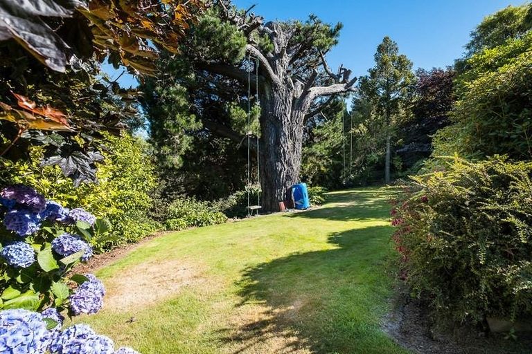 Photo of property in 115 Belford Street, Waverley, Dunedin, 9013