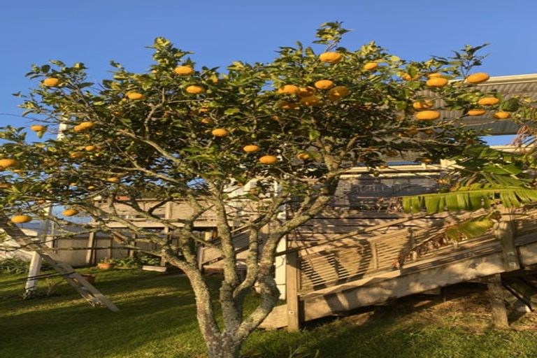 Photo of property in 291 Kaiwaka-mangawhai Road, Kaiwaka, Wellsford, 0975